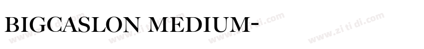 bigcaslon medium字体转换